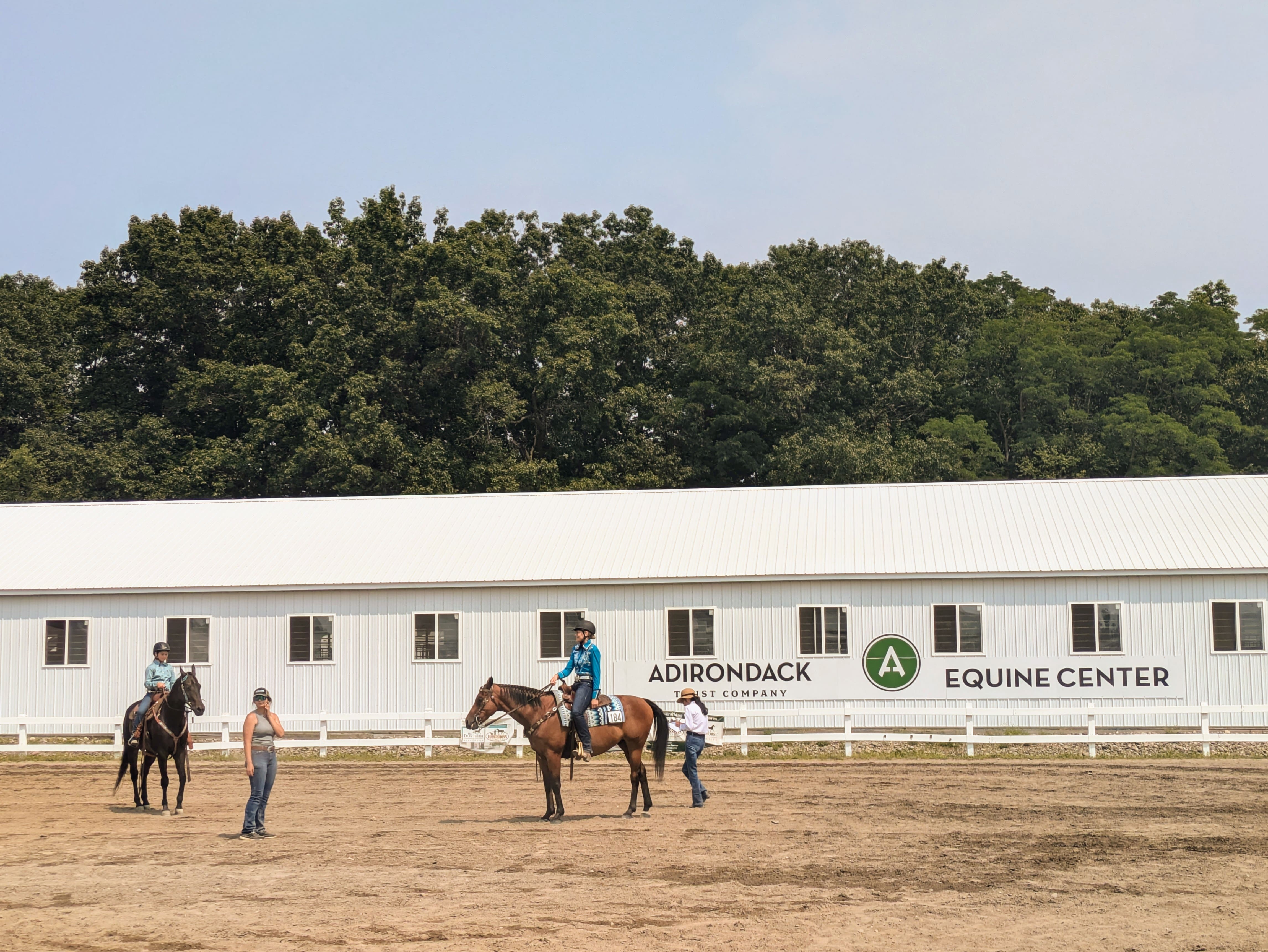 saddle horse-min