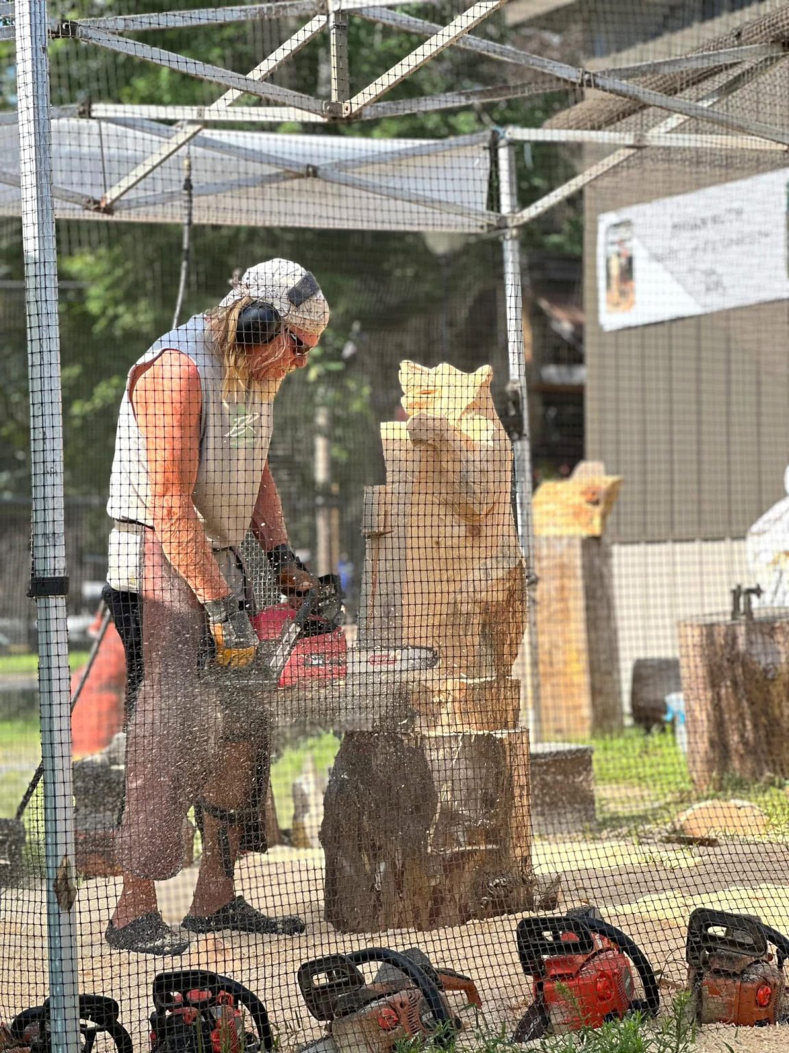Master of the Chainsaw Brian Ruth - Saratoga County Fair